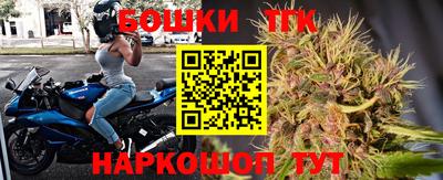 прущие грибы Кандалакша
