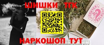 прущие грибы Кандалакша